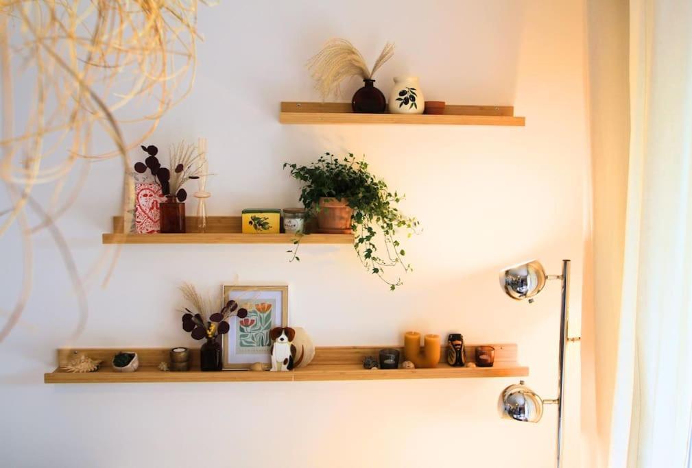 Cosy Appartement Entre Vignes Et Garrigue Avec Piscine Péret エクステリア 写真